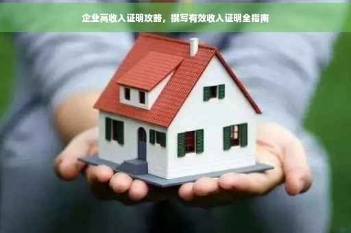 企业高收入证明攻略，撰写有效收入证明全指南