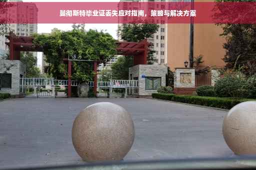 曼彻斯特毕业证丢失应对指南，策略与解决方案