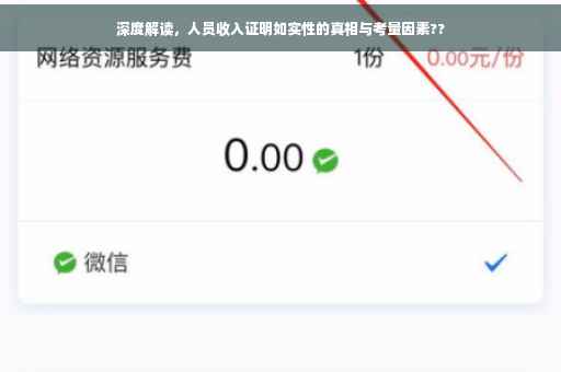 深度解读，人员收入证明如实性的真相与考量因素??