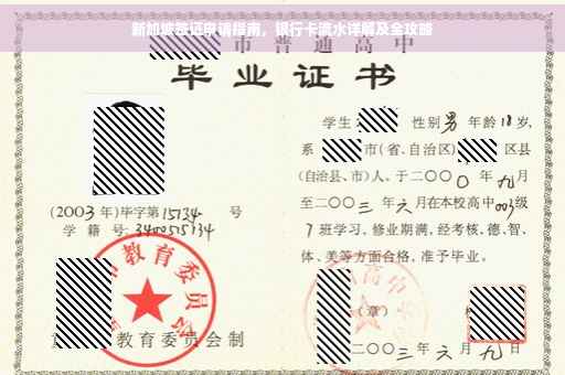 新加坡签证申请指南，银行卡流水详解及全攻略