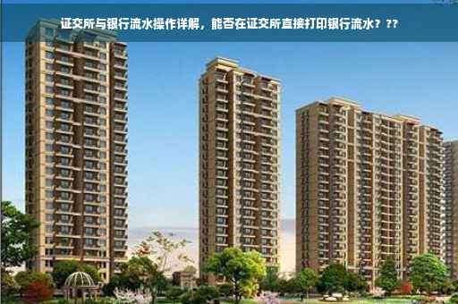 证交所与银行流水操作详解，能否在证交所直接打印银行流水？??