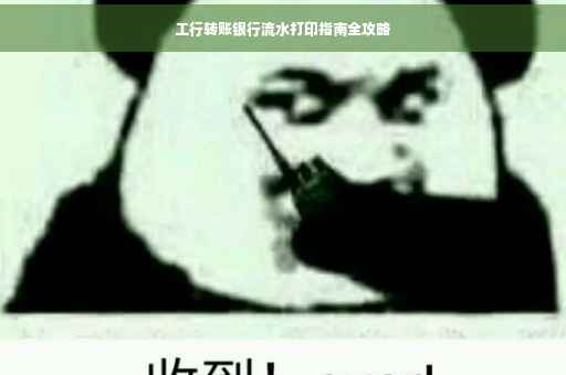 工行转账银行流水打印指南全攻略