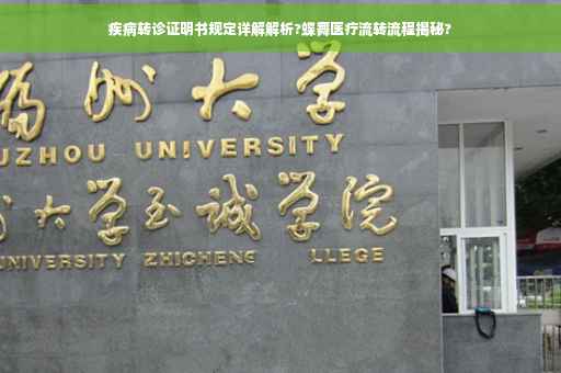 疾病转诊证明书规定详解解析?蝶舞医疗流转流程揭秘? 疾病转诊证明书规定详解解析?蝶舞医疗流转流程揭秘?