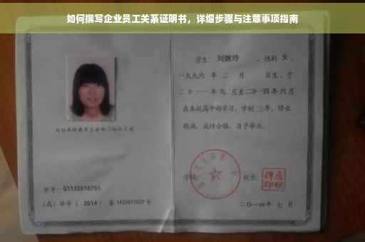 如何撰写企业员工关系证明书，详细步骤与注意事项指南