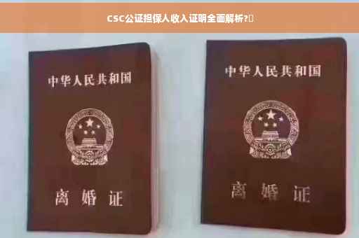 CSC公证担保人收入证明全面解析?✨