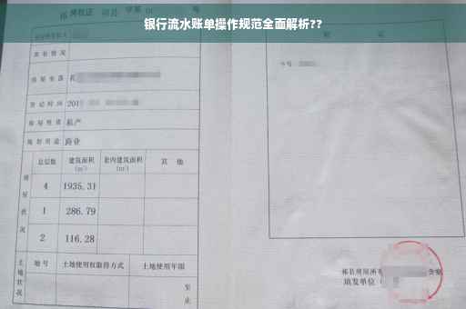 银行流水账单操作规范全面解析??