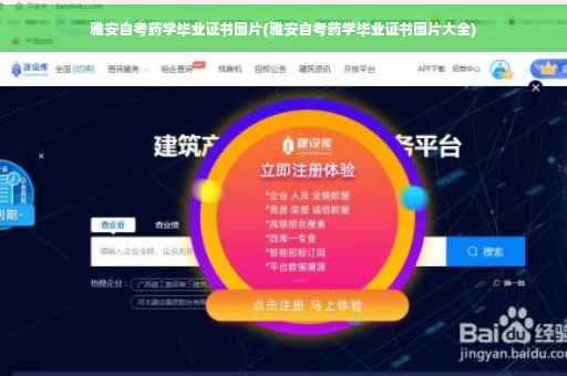 雅安自考药学毕业证书图片(雅安自考药学毕业证书图片大全)
