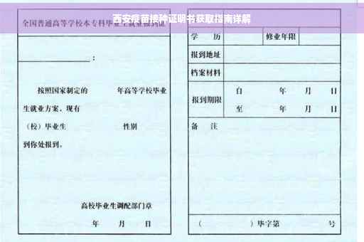 西安疫苗接种证明书获取指南详解