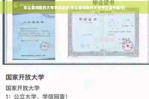 怎么查询我的大专学历证书(怎么查询我的大专学历证书编号)
