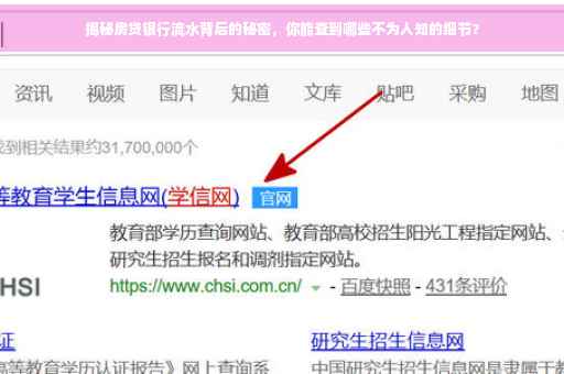 揭秘房贷银行流水背后的秘密，你能查到哪些不为人知的细节？
