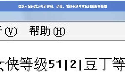 自然人银行流水打印详解，步骤、注意事项与常见问题解答指南