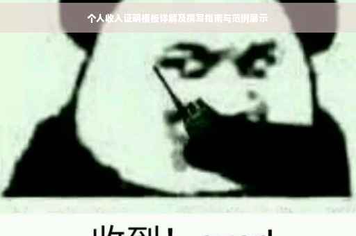 个人收入证明模板详解及撰写指南与范例展示