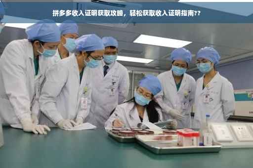 拼多多收入证明获取攻略，轻松获取收入证明指南??