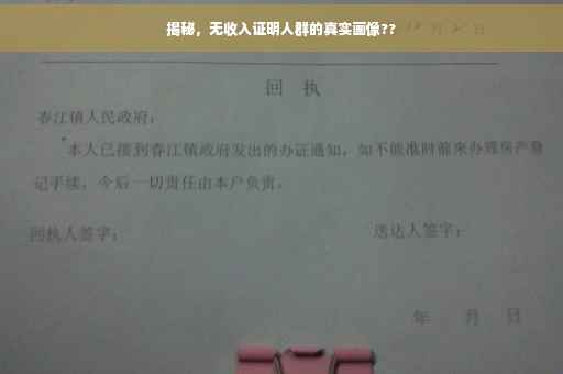 揭秘，无收入证明人群的真实画像??