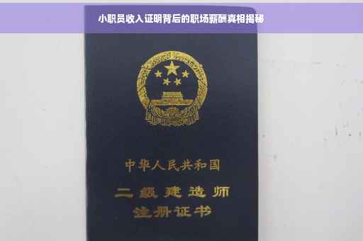 小职员收入证明背后的职场薪酬真相揭秘