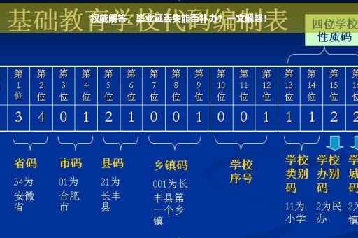 权威解答，毕业证丢失能否补办？一文解惑！