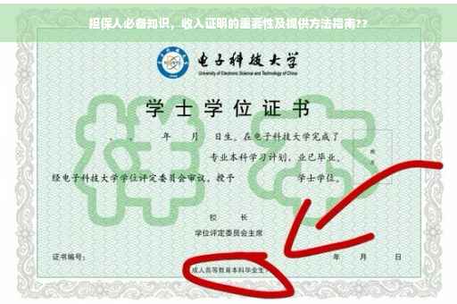 担保人必备知识，收入证明的重要性及提供方法指南??