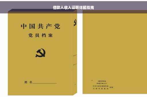 借款人收入证明详解指南