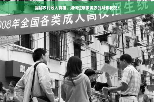 揭秘农村收入真相，如何证明家务农的财务状况？