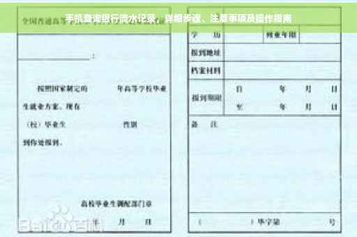 手机查询银行流水记录，详细步骤、注意事项及操作指南
