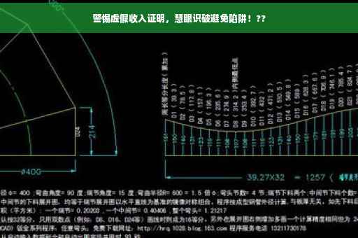 警惕虚假收入证明，慧眼识破避免陷阱！??