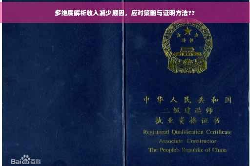 多维度解析收入减少原因，应对策略与证明方法??