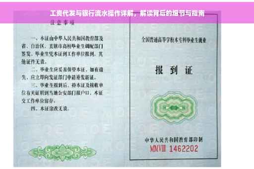 工资代发与银行流水操作详解，解读背后的细节与指南