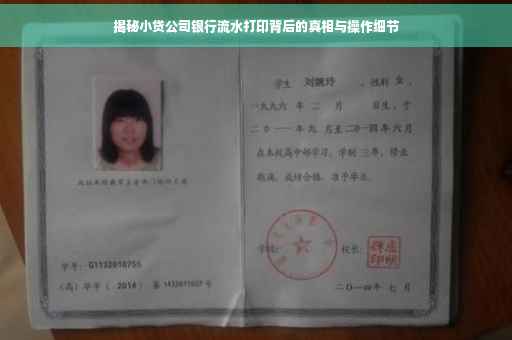 揭秘小贷公司银行流水打印背后的真相与操作细节