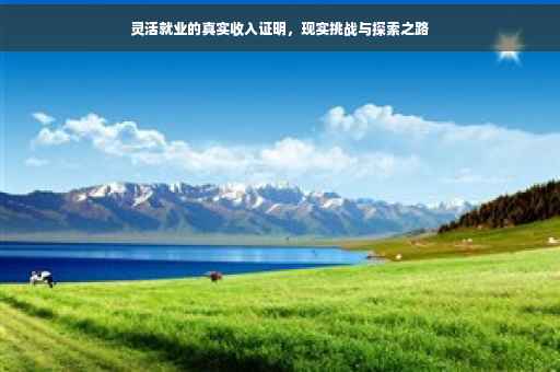 灵活就业的真实收入证明，现实挑战与探索之路