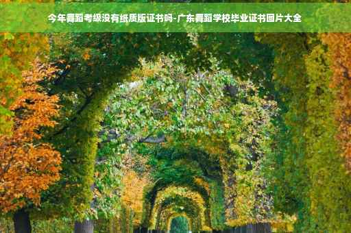 今年舞蹈考级没有纸质版证书吗-广东舞蹈学校毕业证书图片大全