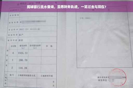 揭秘银行流水查询，洞悉财务轨迹，一览过去与现在?