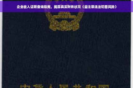 企业收入证明查询指南，揭露真实财务状况（需注意违法犯罪风险）