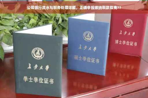 公司银行流水与税务处理详解，正确申报缴纳税款指南??