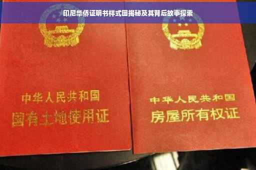 印尼华侨证明书样式图揭秘及其背后故事探索