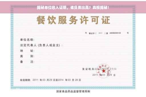 揭秘单位收入证明，谁负责出具？真相揭秘！