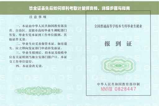毕业证丢失后如何顺利考取计量师资格，详细步骤与指南