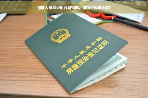 低收入家庭证明开具指南，详细步骤与要求?