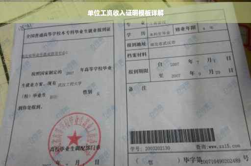 单位工资收入证明模板详解