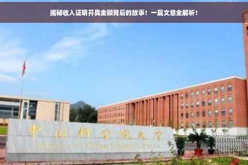 揭秘收入证明开具金额背后的故事！一篇文章全解析！
