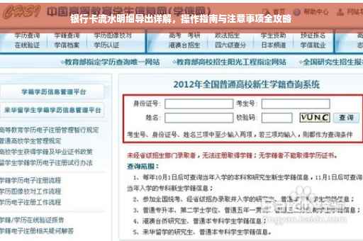 银行卡流水明细导出详解，操作指南与注意事项全攻略