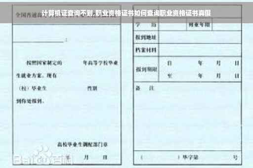 计算机证查询不到,职业资格证书如何查询职业资格证书真假