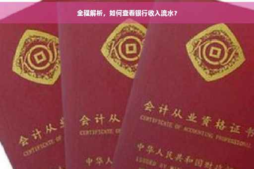 全程解析，如何查看银行收入流水？