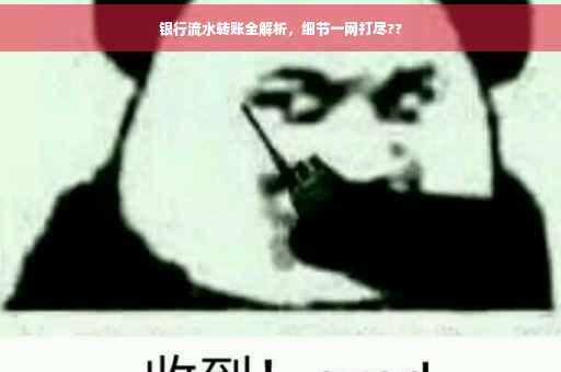 银行流水转账全解析，细节一网打尽??