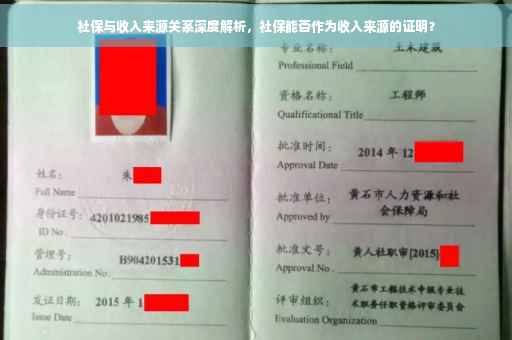 社保与收入来源关系深度解析，社保能否作为收入来源的证明？