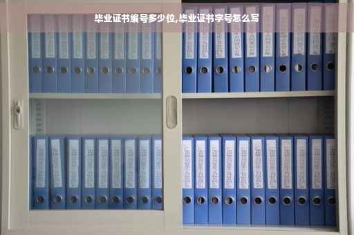 毕业证书编号多少位,毕业证书字号怎么写