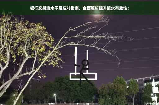银行交易流水不足应对指南，全面解析提升流水有效性！