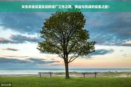 女生毕业证丢失后的进厂工作之路，挑战与机遇的探索之旅！