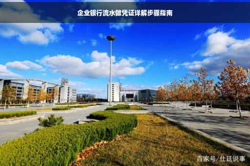 企业银行流水做凭证详解步骤指南