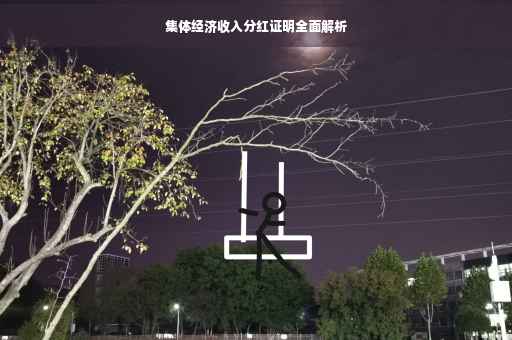 集体经济收入分红证明全面解析