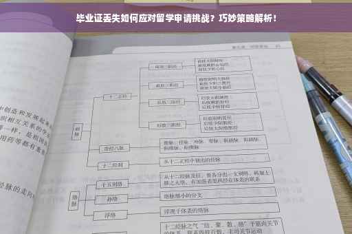 毕业证丢失如何应对留学申请挑战？巧妙策略解析！